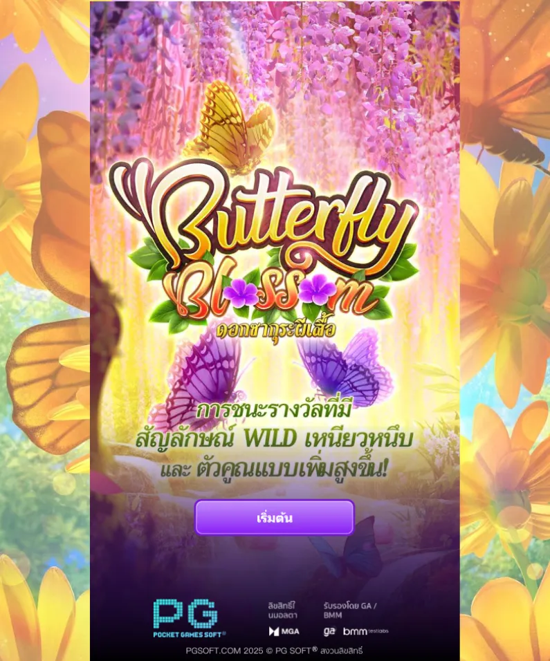 รีวิวเกม Butterfly Blossom