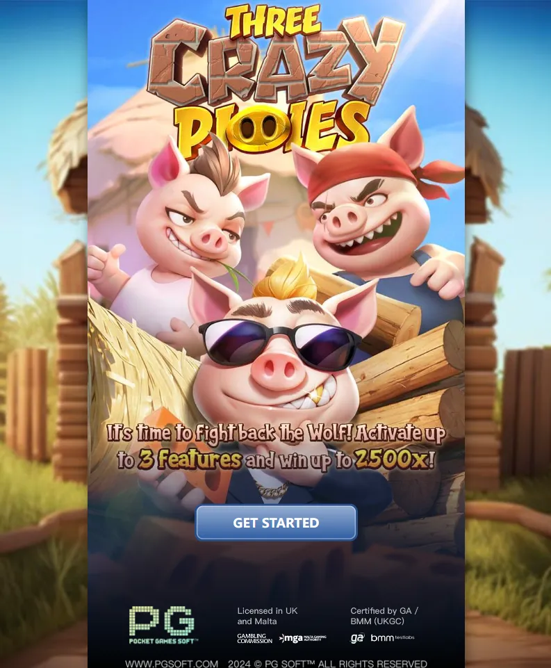 รีวิวเกม Three Crazy Piggies