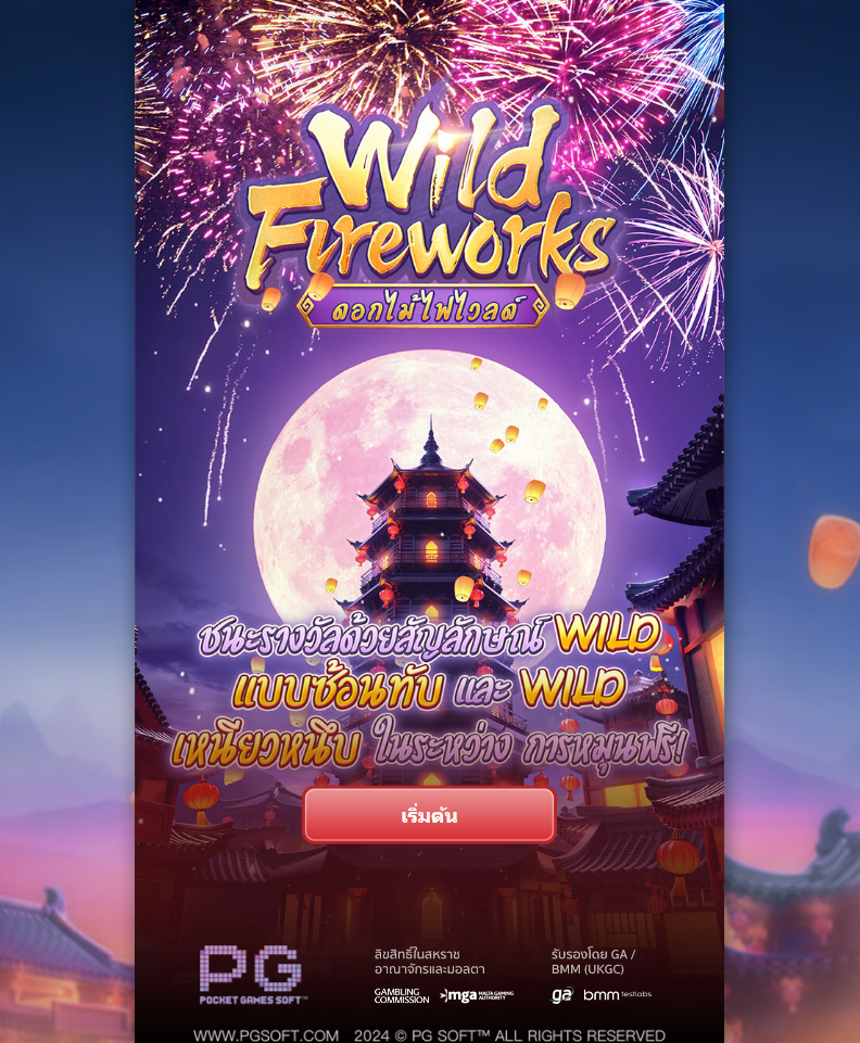 รีวิวเกม Wild Fireworks